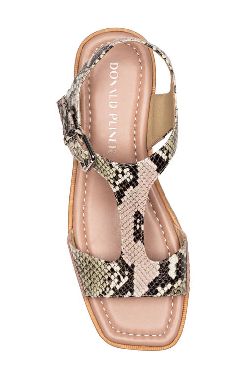 Donald Pliner Dria T-strap Sandal In Rosette