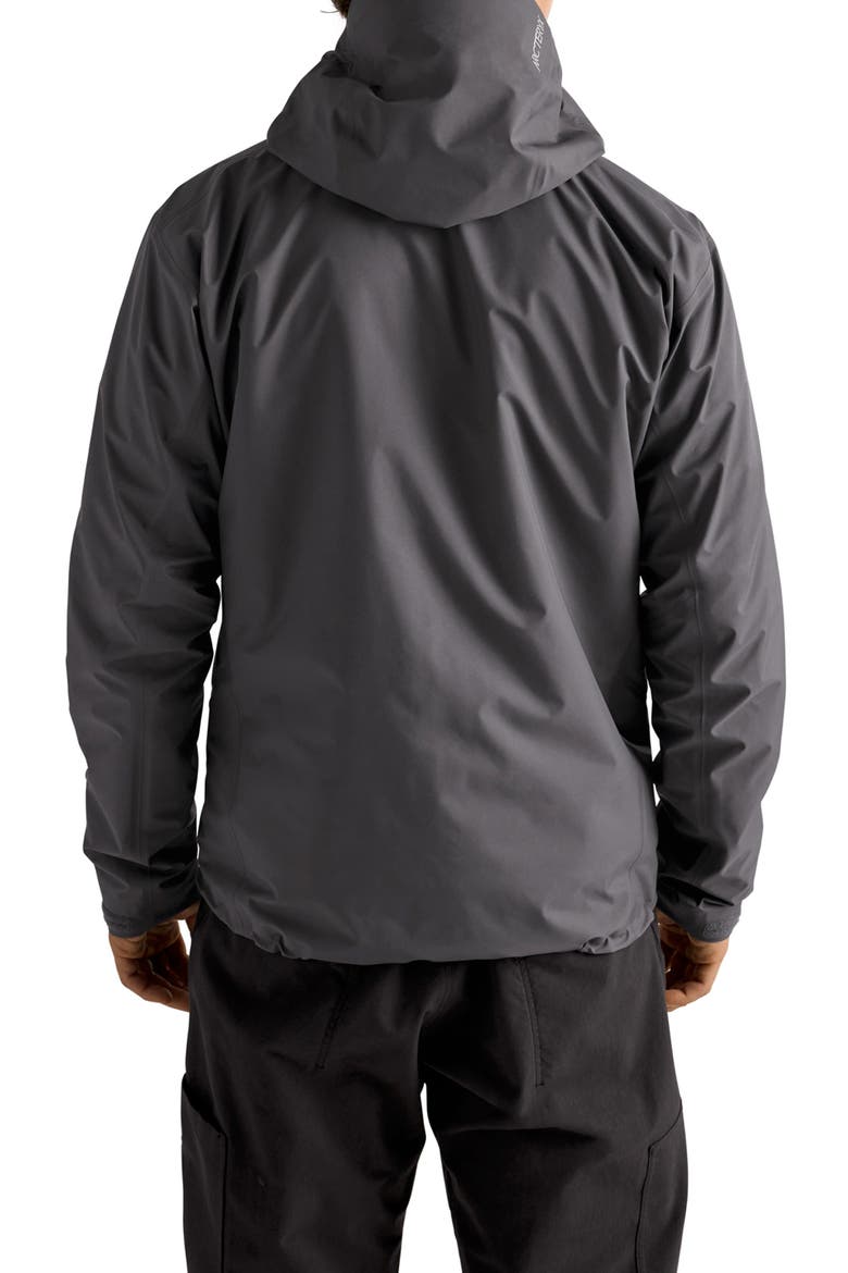 Beta SL GORE-TEX Hooded Jacket, Alternate, color, CLOUD