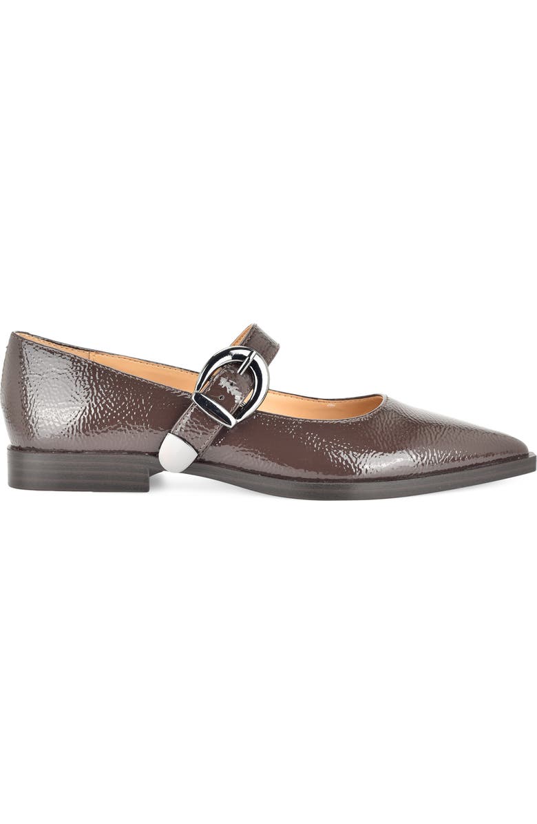 Nine West Katrel Mary Jane Flat, Alternate, color, Dark Brown
