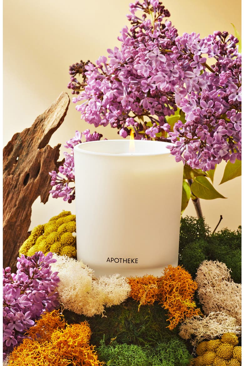 White Vetiver Classic Scented Candle, Alternate, color, WHITE VETIVER