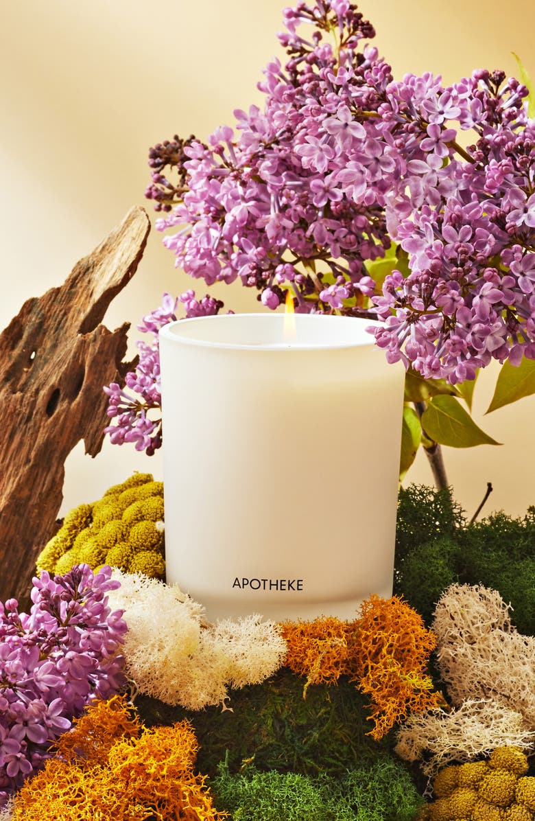 APOTHEKE White Vetiver Classic Scented Candle, Alternate, color, White Vetiver