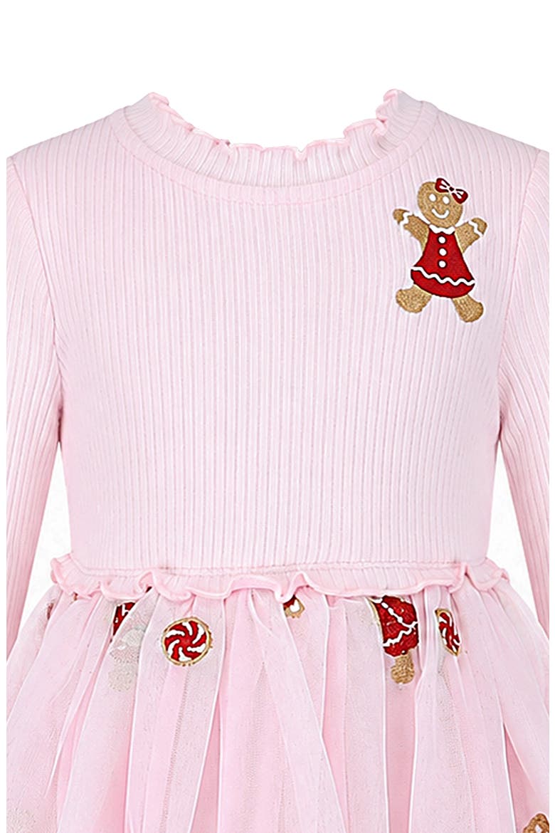 Gingerbread Embroidery Long Sleeve Mesh Skirt Dress, Alternate, color, BLUSH