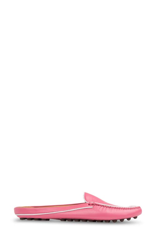 Shop Patricia Green Jill Piped Mule In Hot Pink/white Leather