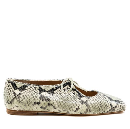 Andrea Gomez Amelia Leather Ballerina In Multi