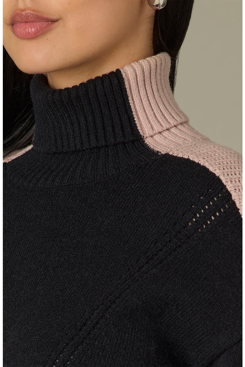 Colorblock Turtleneck Sweater, Alternate, color, BLACK/ MAHOGANY ROSE