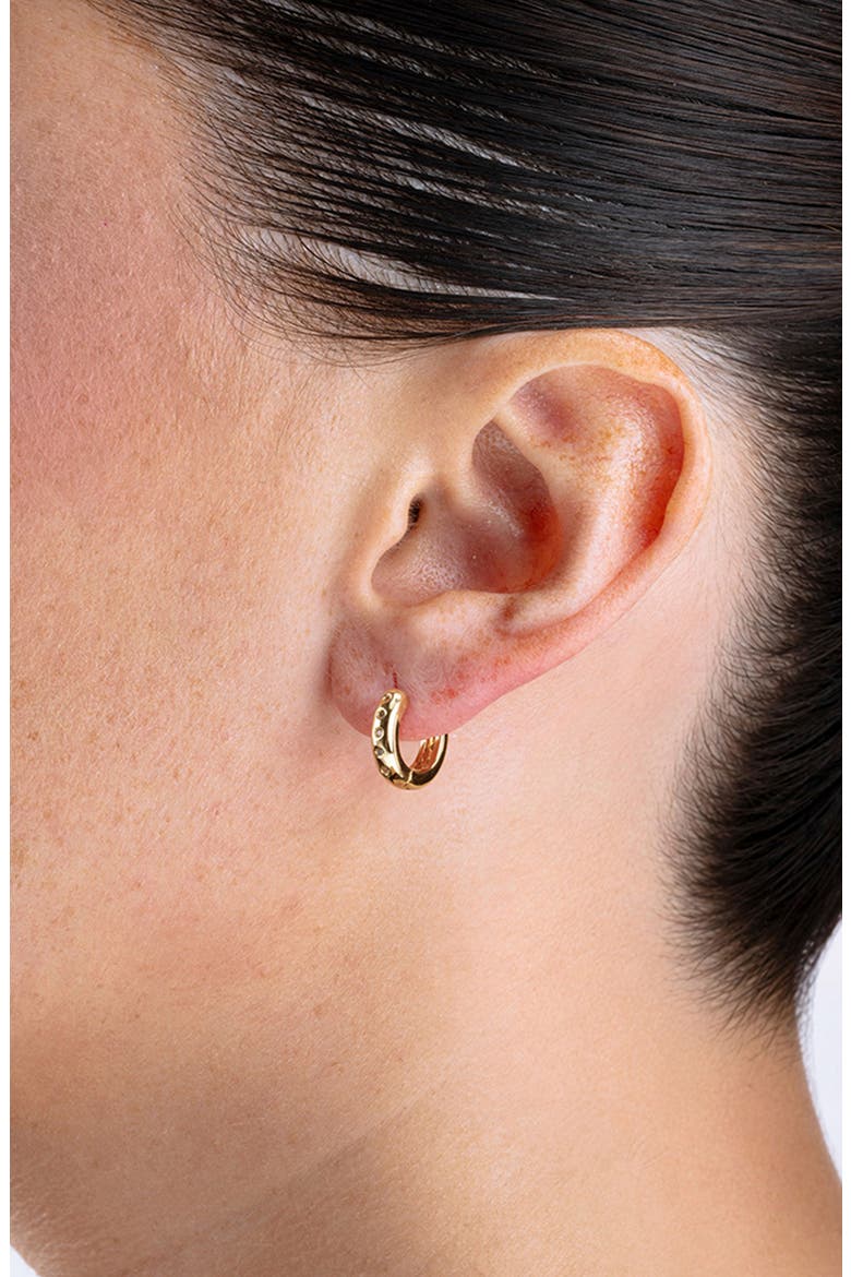 Cubic Zirconia Hoop Earrings, Alternate, color, GOLD