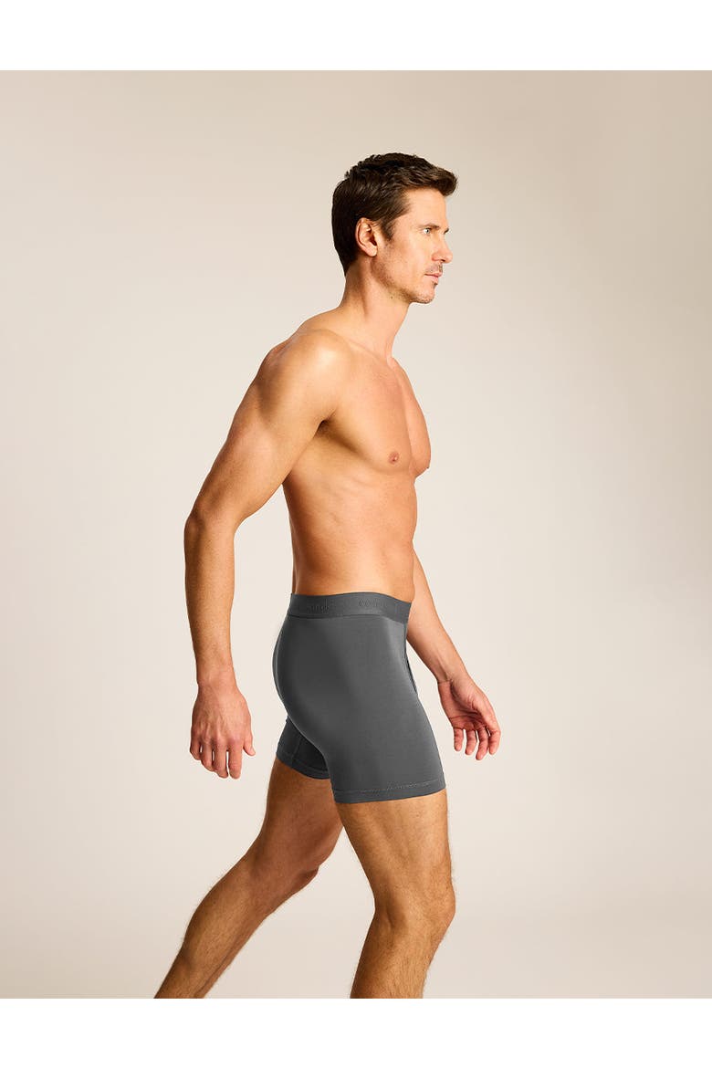 Essential Modal Relaxed Boxer Brief with Fly, Alternate, color, Titanium