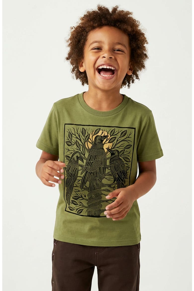 Organic Cotton Boys Grahic T-Shirt, Alternate, color, Olive Perch