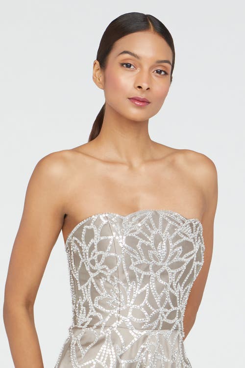 Theia Pamela Embroidered Gown