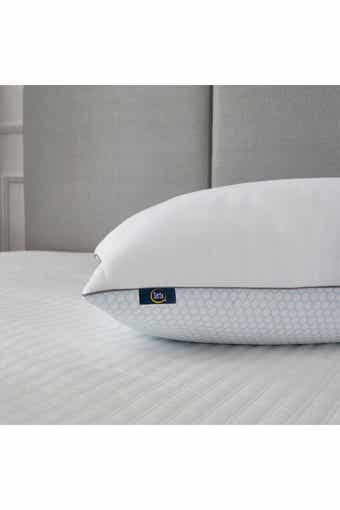 BLUE RIDGE HOME FASHIONS 2pk Serta 233 Thread Count Summer & Winter White Goose Feather Bed Pillow