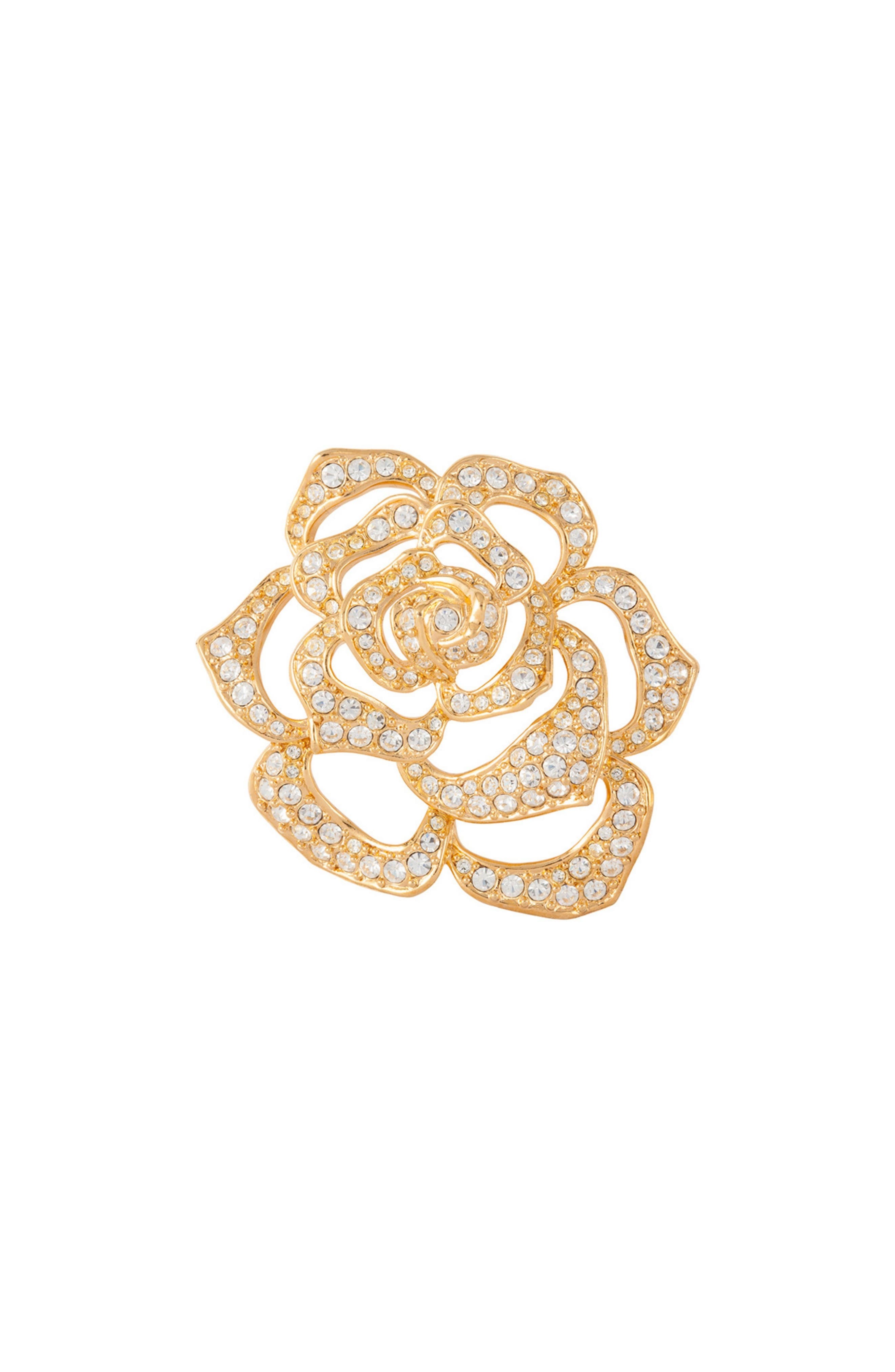 selected Rose