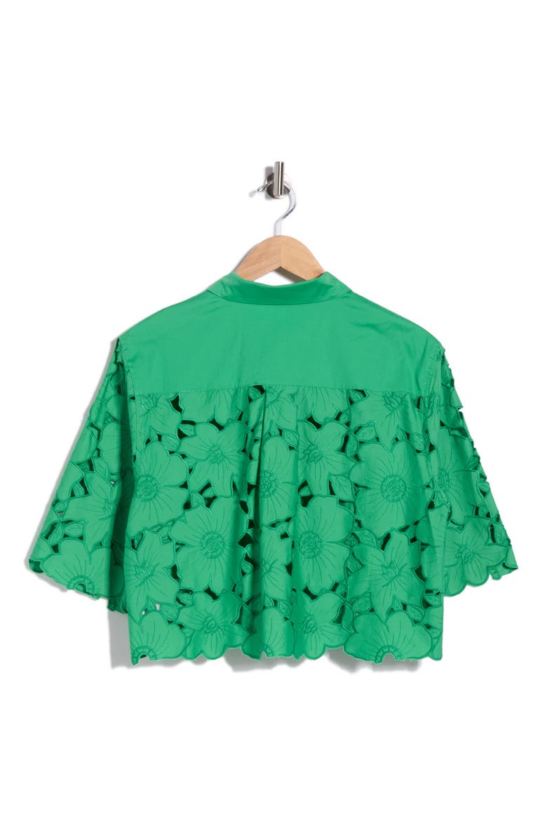 Joan Embroidered Crop Top, Alternate, color, INDIAN GREEN
