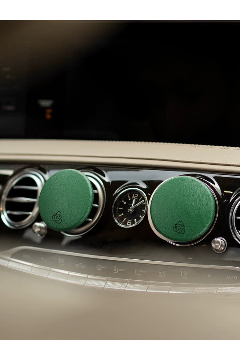 Freesia Green Lambskin Car Diffuser and Insert, Alternate, color, Regular