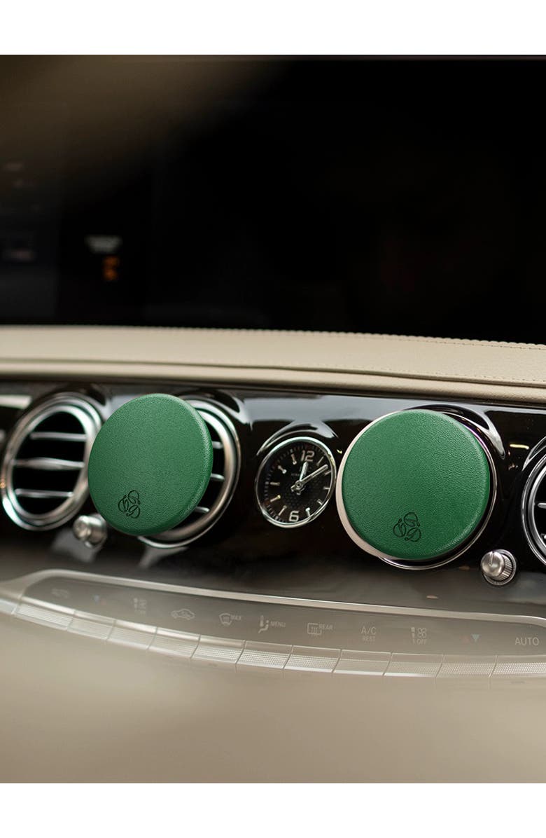 Delfino Oud Green Lambskin Car Diffuser and Insert, Alternate, color, Regular