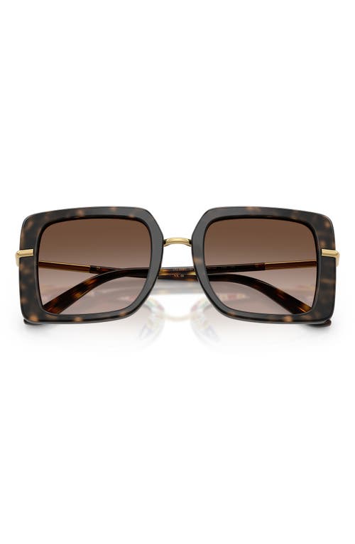 Dolce & Gabbana Dna Sunglasses In Black