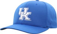 TOP OF THE WORLD Men's Top of the World Royal Kentucky Wildcats Reflex Logo Flex Hat