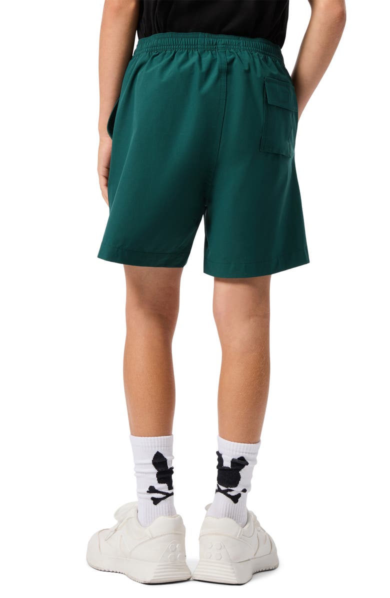 Psycho Bunny Kids' Palmview Hydrochromic Swim Shorts, Alternate, color, Sea Moss