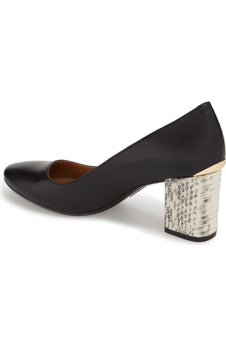 Calvin Klein 'Cirilla' Block Heel Pump, Alternate, color,