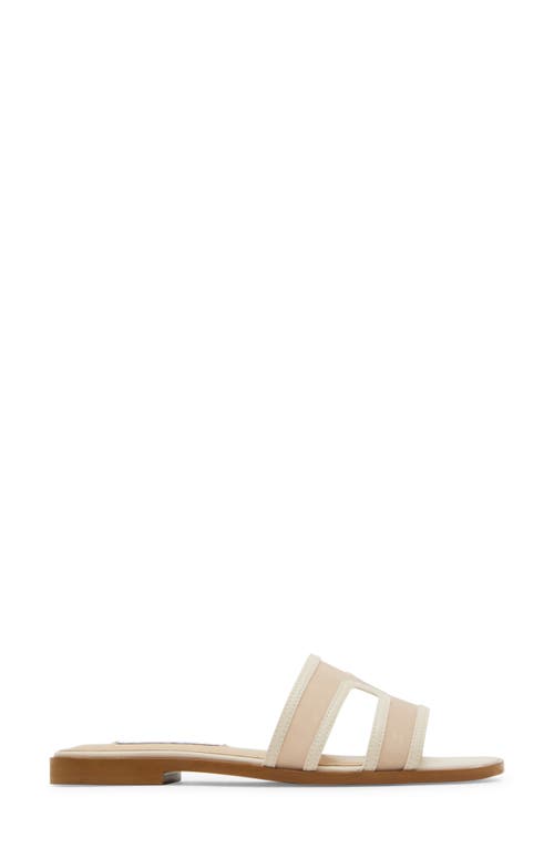 Steve Madden Hazel Slide Sandal In Beige