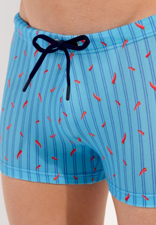 Hom Espelette Swim Shorts In Turquoise Print