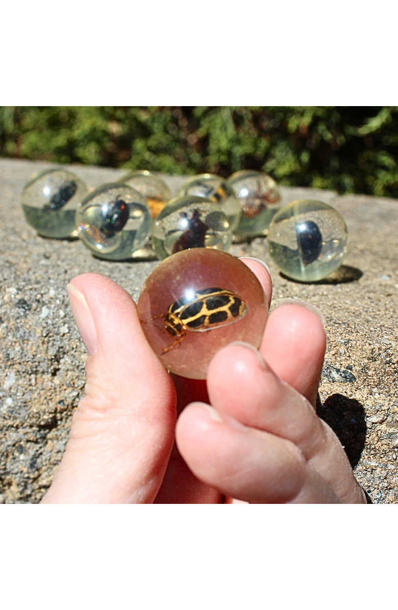 GEOWORLD Real Bug Marbles, Alternate, color, NO COLOR
