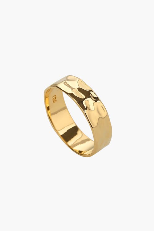 Bearfruit Jewelry Sterling Silver 18k Gold Plated Fiona Thin Hammered Band Ring In Gold