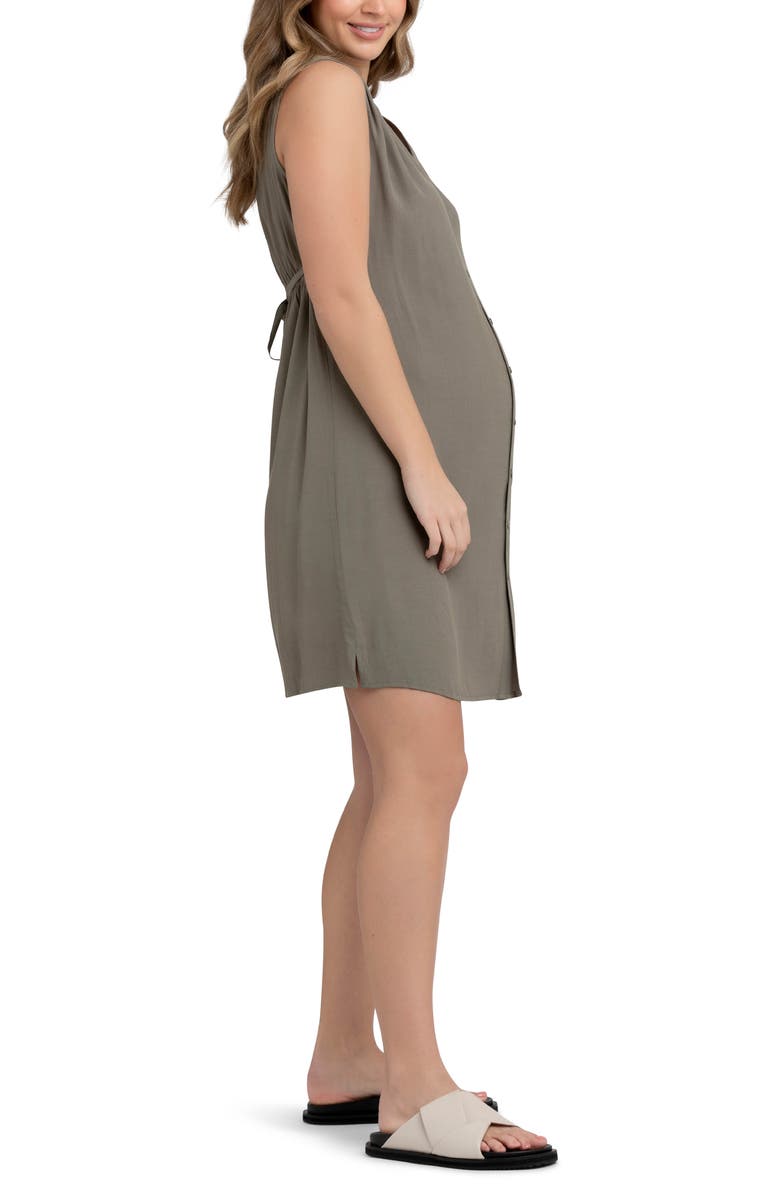 Ripe Maternity April Maternity/Nursing Sleeveless Shirtdress Dress, Alternate, color, 