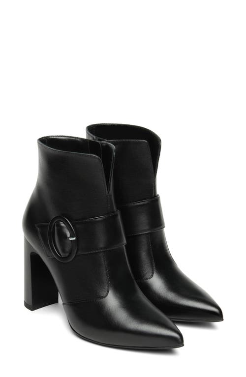 Nerogiardini Buckle Bootie In Black