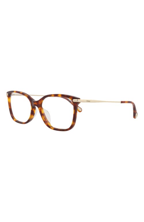 Chloé 54mm Rectangular Optical Glasses