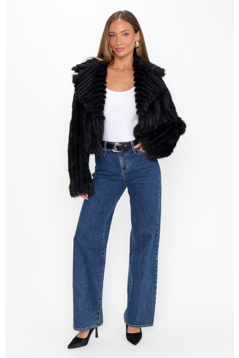 Salt Lake City Cropped Jacket, Alternate, color, Black Faux Fur