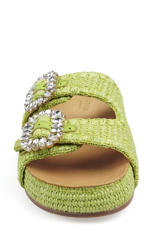 Zigi Artisan Rad Platform Sandal In Green