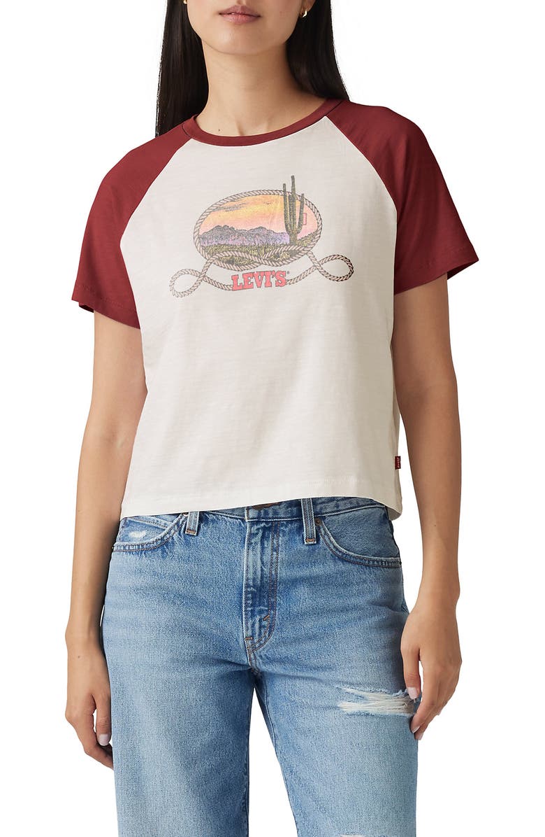 Levi's Gameday Cotton Graphic T-Shirt, Main, color, Western Archival Cactus
