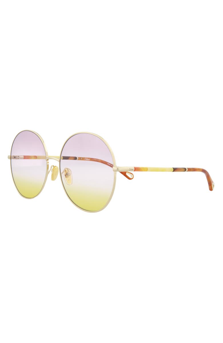 Chloé Novelty 61mm Round Sunglasses, Alternate, color,