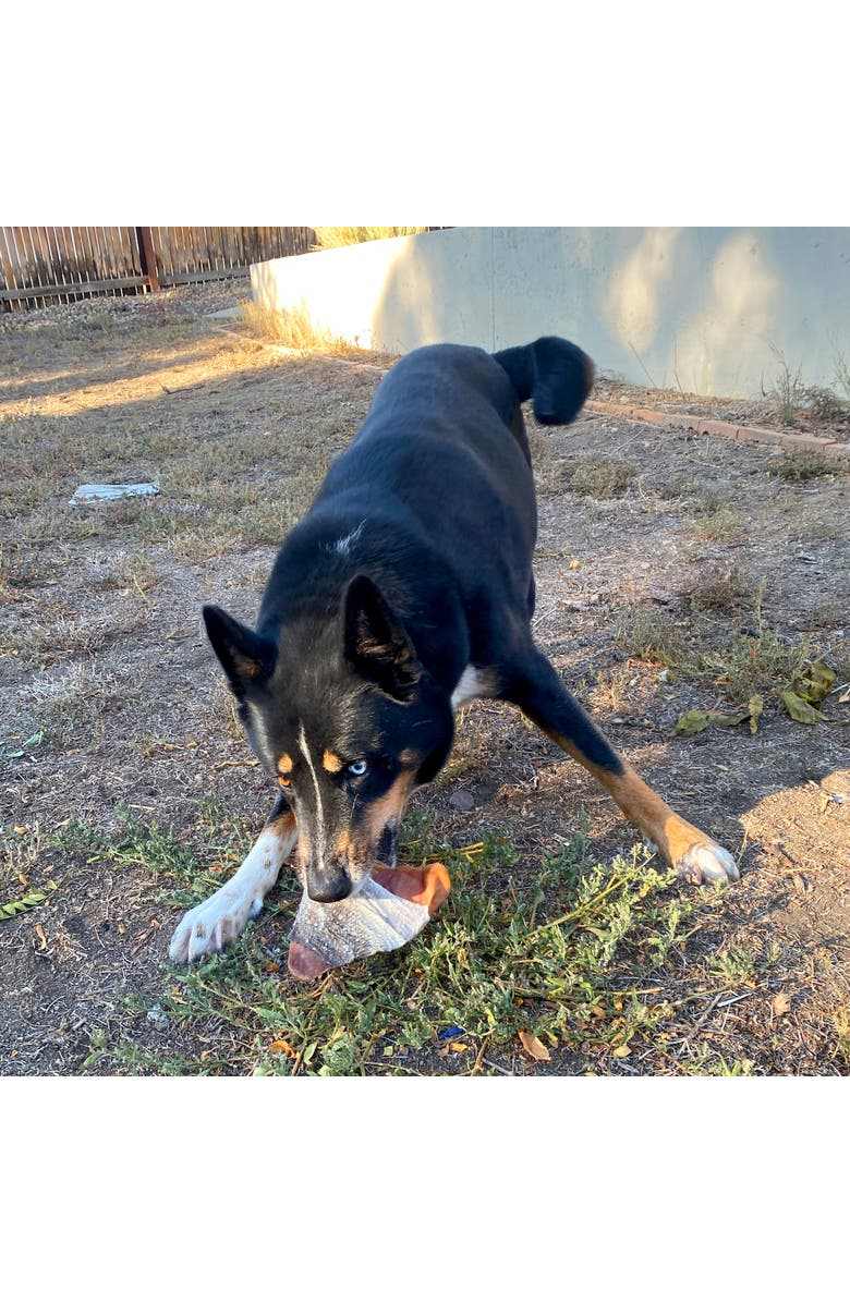 ICELANDIC+ Fish Ear 30 Pack Dog Treats, Alternate, color, Multicolored