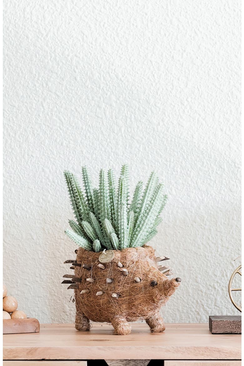 Baby Hedgehog Handwoven Planter, Alternate, color, BROWN