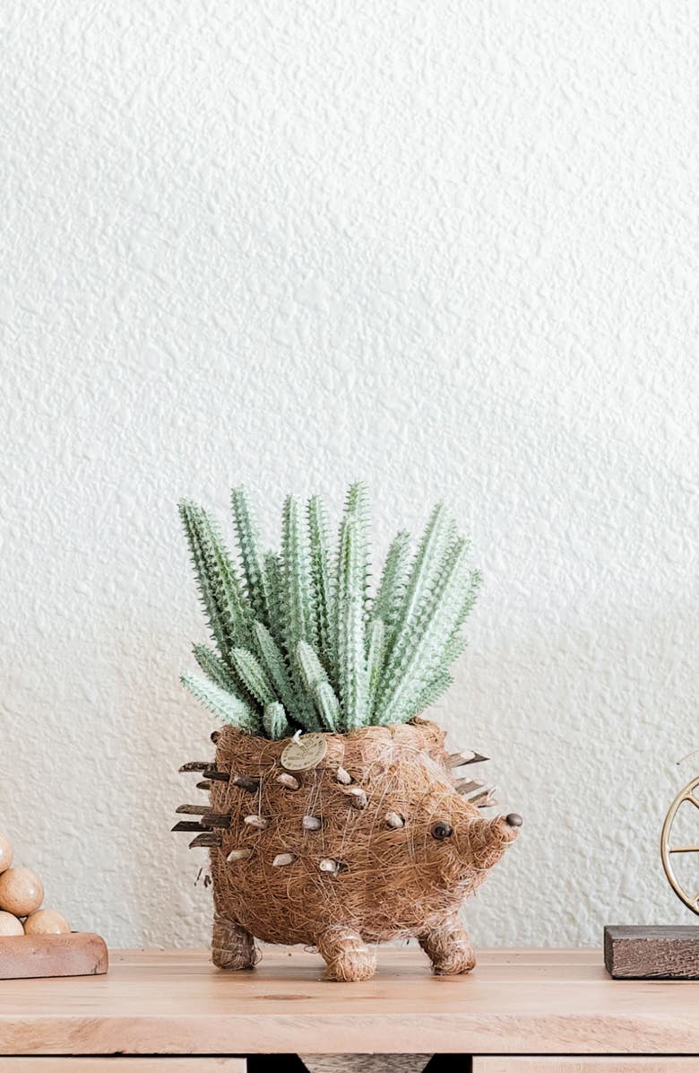 LIKHA Baby Hedgehog Handwoven Planter, Alternate, color, Brown