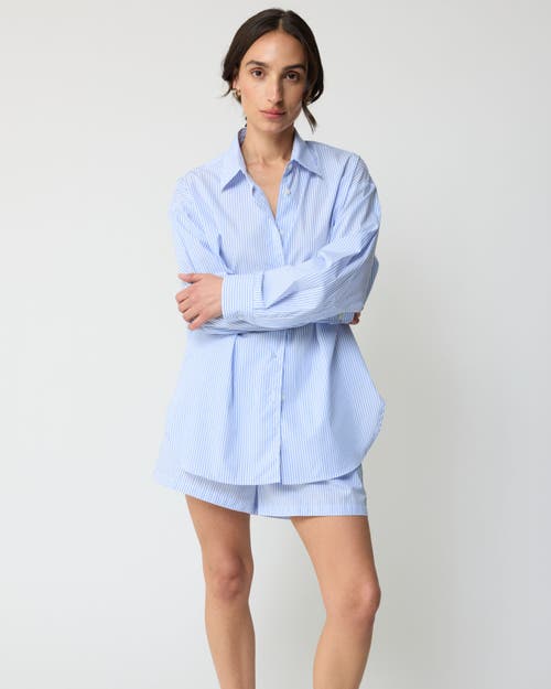 Almina Concept Boxer Cotton Shorts In Periwinkle Blue