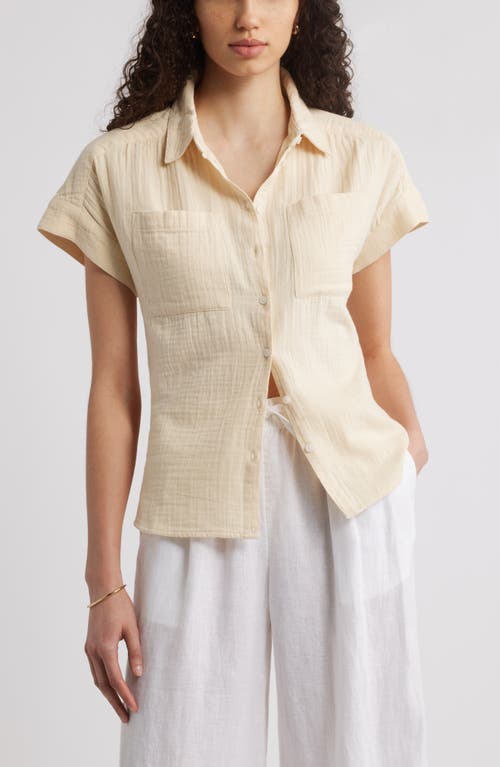 CASLONR CASLON(R) COTTON GAUZE BUTTON-UP SHIRT 
