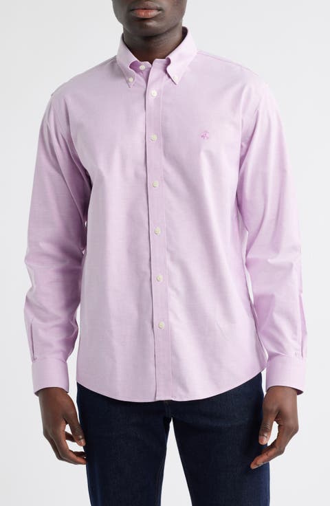 Non-Iron Regular Fit Stretch Cotton Button-Down Oxford Shirt