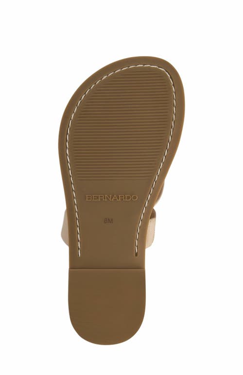 Bernardo Footwear Leia Thong Sandal In Pink