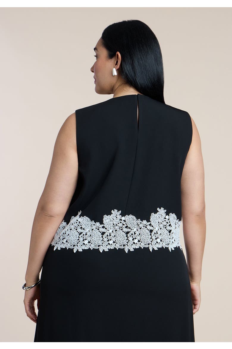Sleeveless Lace Trimmed Top, Alternate, color, BLACK ONYX