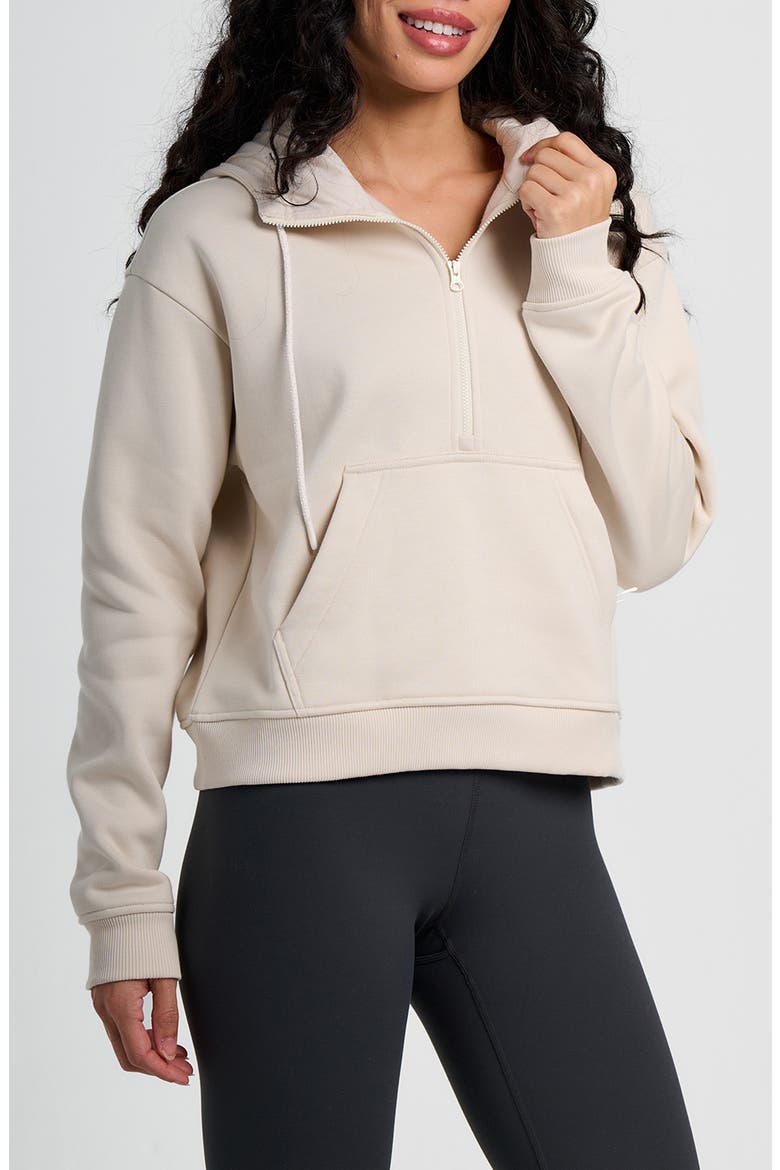 Northcoast Fleece Half Zip Hoodie, Main, color, STONE