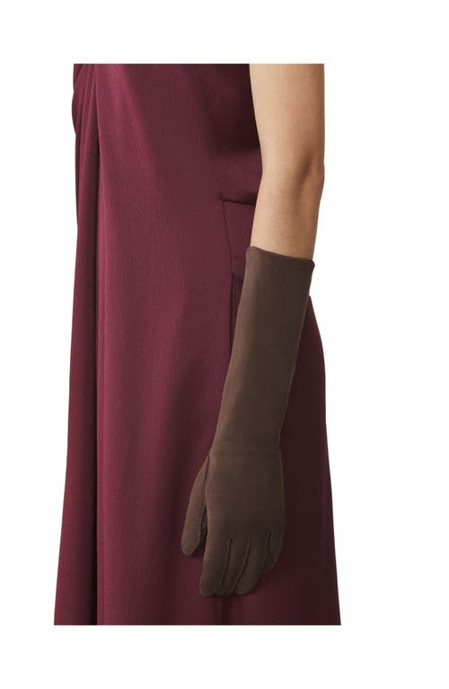 Lanvin Long Slim Suede Gloves In Brown
