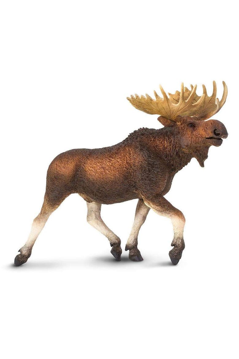 Moose Toy, Main, color, No Color