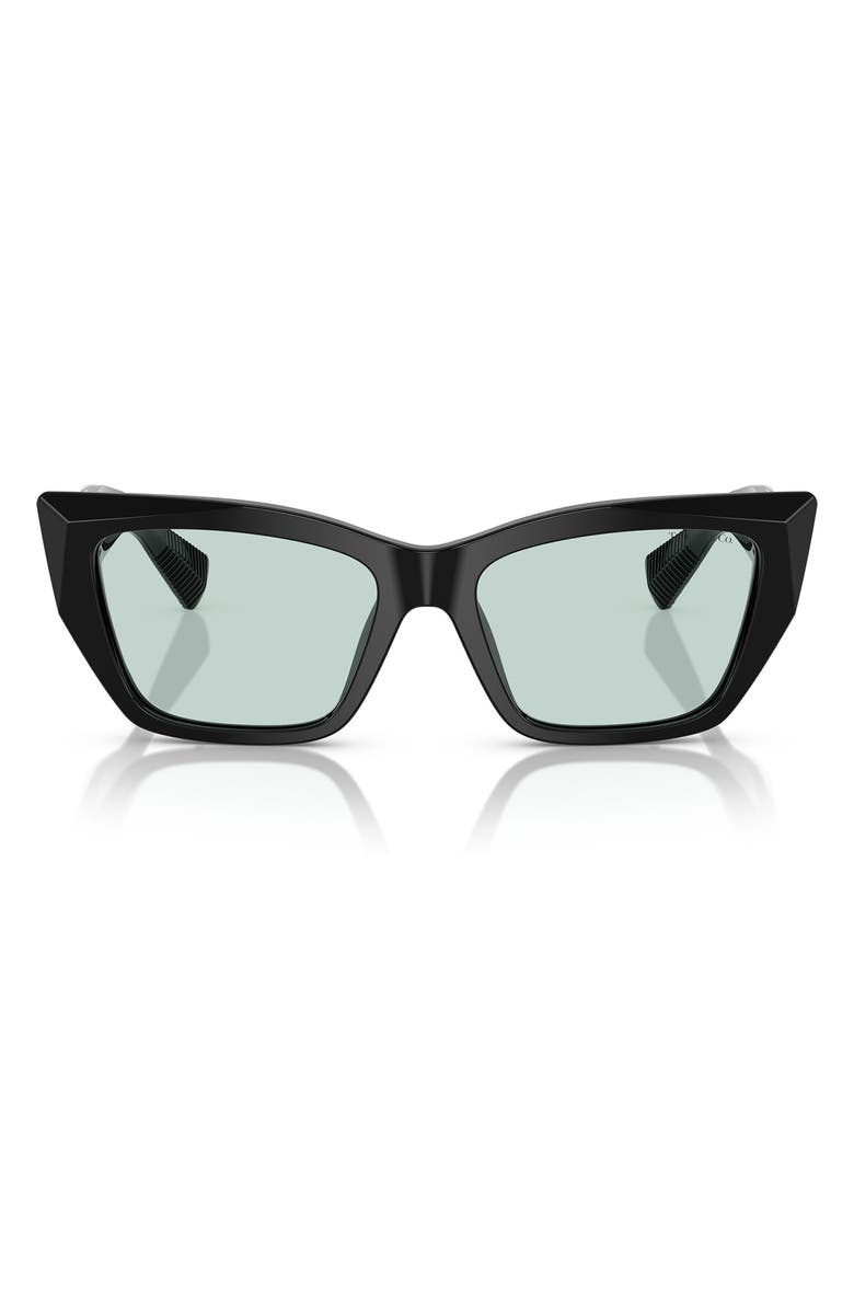 Tiffany & Co. 54mm Cat Eye Sunglasses, Main, color, Black