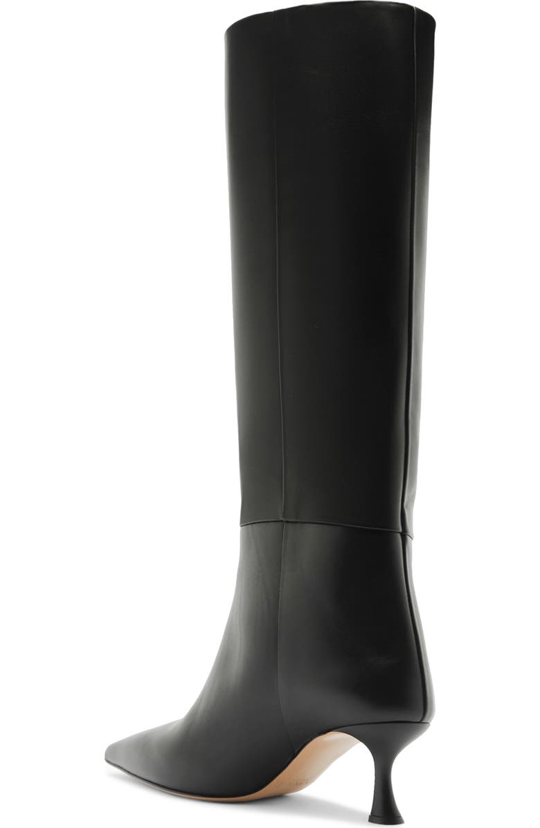 Alexandre Birman Brena Pointed Toe Knee High Boot, Alternate, color, Black