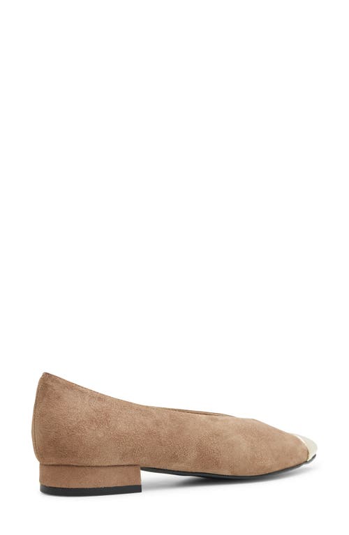 Jon Josef Real Pointed Cap Toe Pump In Multi