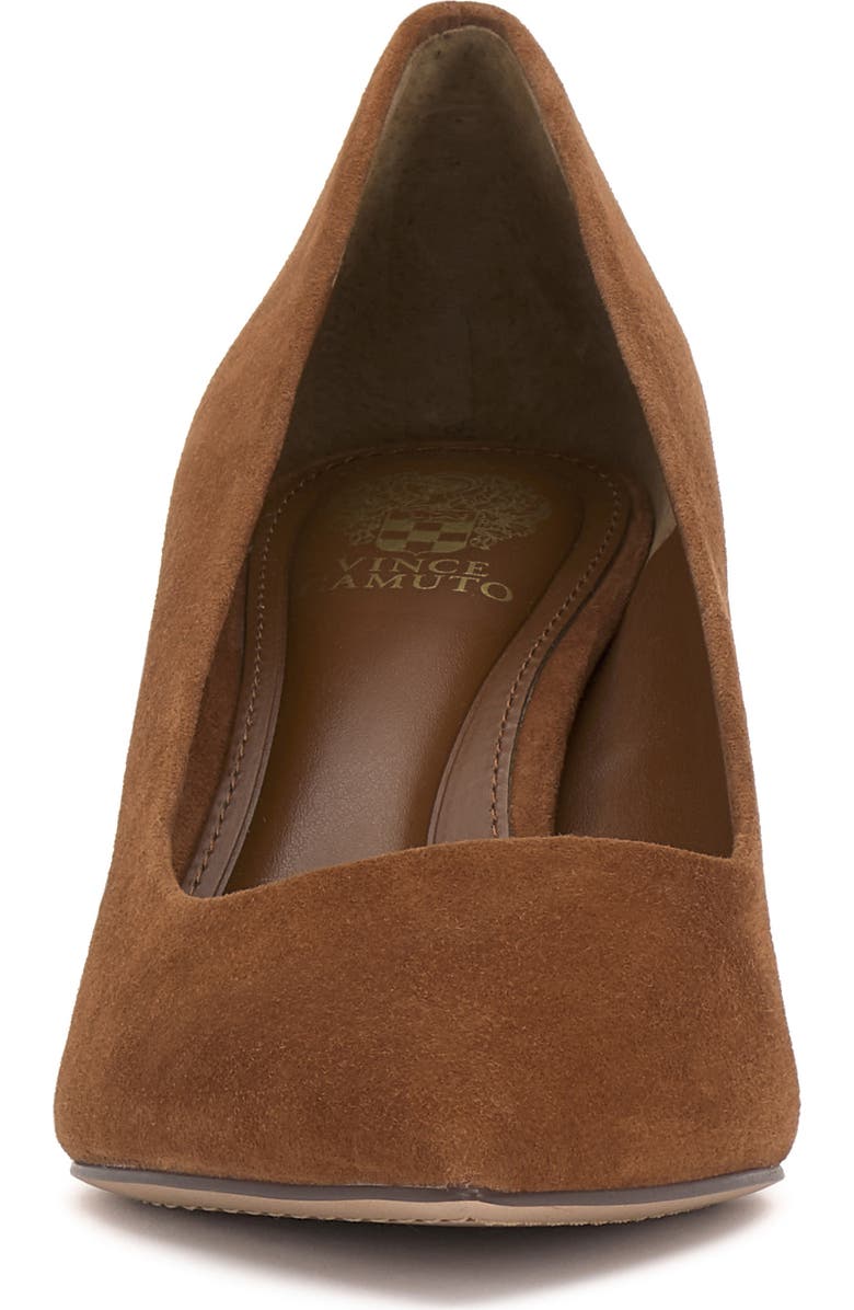 Vince Camuto Kehlia Pointed Toe Pump, Alternate, color, Burnt Sugar Torsue
