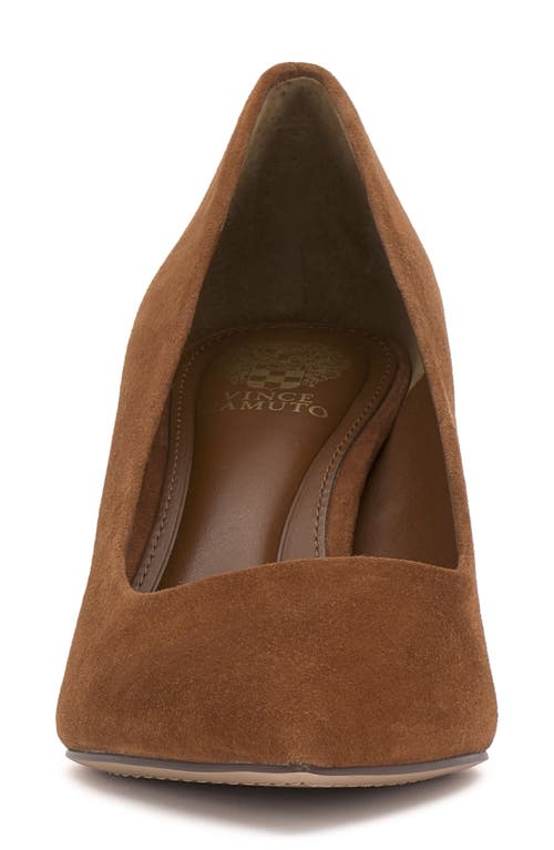 Vince Camuto Kehlia Pointed Toe Pump In Brown