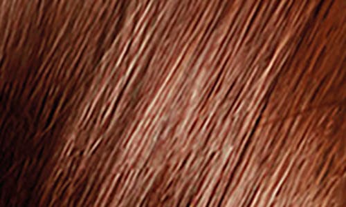 Phyto Color Permanent Hair Color